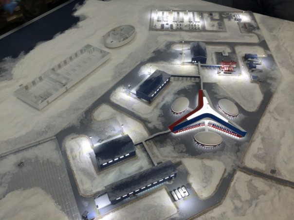 Арктический трилистник Арктический трилистник