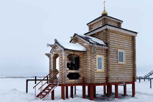 Арктический трилистник Арктический трилистник