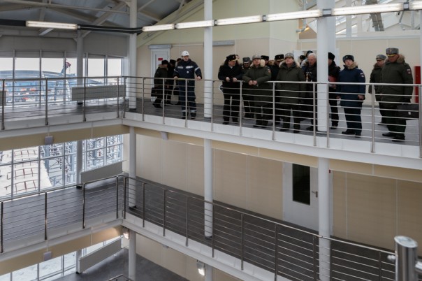 Арктический трилистник Арктический трилистник