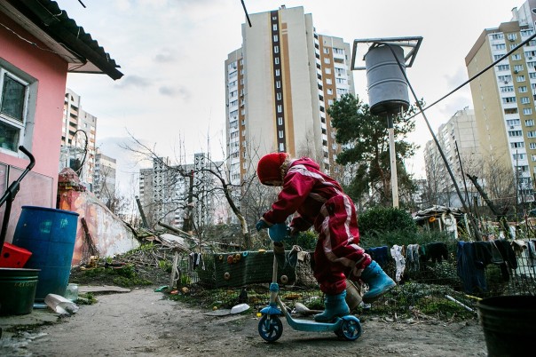 Киевский зверополис Киевский зверополис