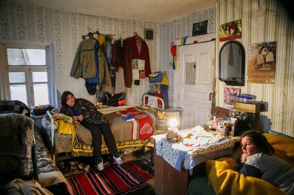 Киевский зверополис Киевский зверополис