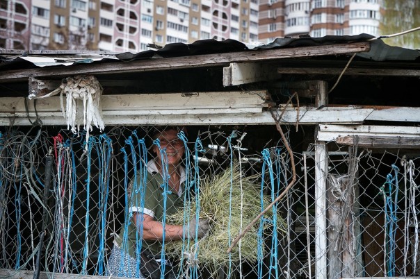 Киевский зверополис Киевский зверополис