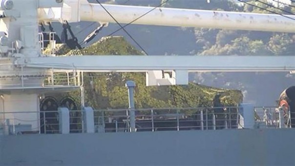 В Турции разглядели танки на борту шедшего через Босфор российского судна