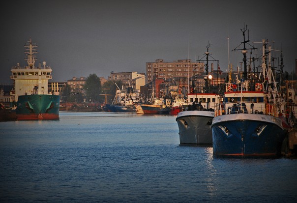 Латвия продолжает грызть кактус русофобии