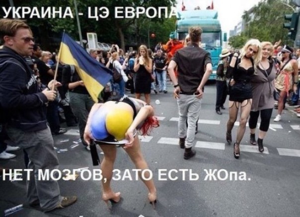 Украина-2016: Вальцман и Гройсман страшно полюбили ЛГБТ-товарищей