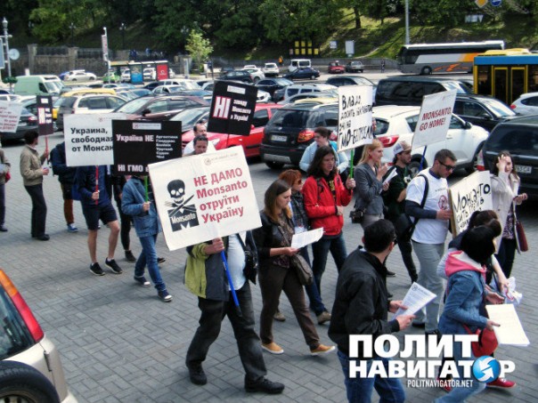 Не хотим быть подопытными крысами! — Марш в Киеве против захвата Украины крупнейшим игроком ГМО