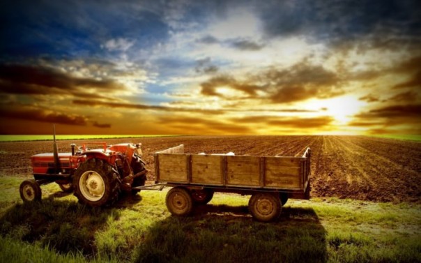 Российская экспансия мирового рынка сельского хозяйства