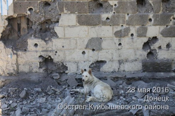 Куйбышевский район г. Донецк. Последствия обстрела укрофашистами (28-05-2016)
