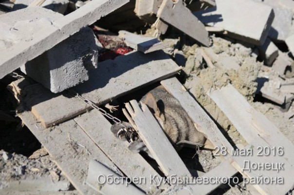 Куйбышевский район г. Донецк. Последствия обстрела укрофашистами (28-05-2016)