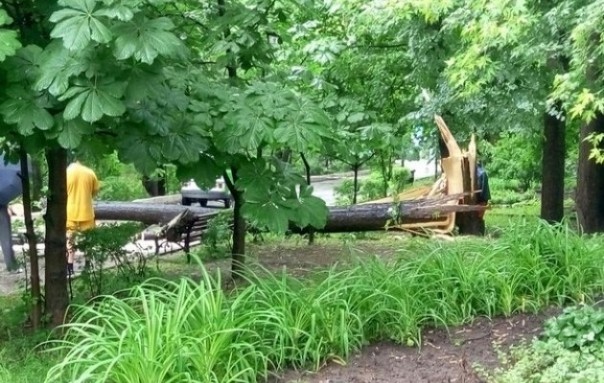 По Харькову пронесся ураган и мощный ливень