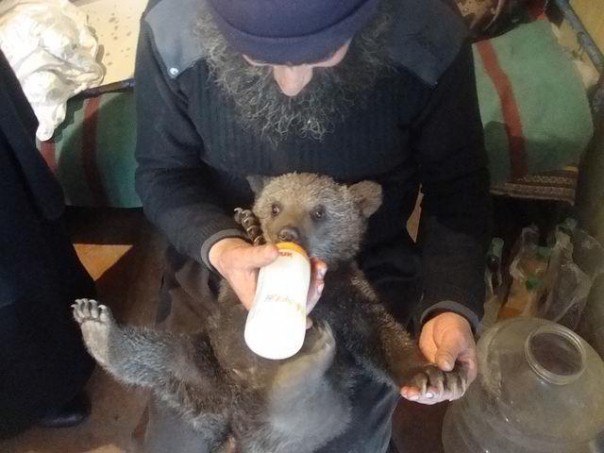 Животные и монахи Святой Горы Афон