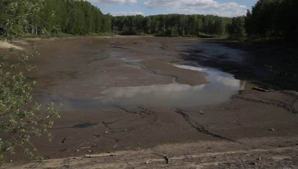 В Новосибирске браконьеры спустили воду в пруду РАН и забрали всю рыбу