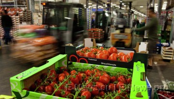 СМИ: США давят на ЕС, чтобы добиться уступок на экспорт сельхозпродукции