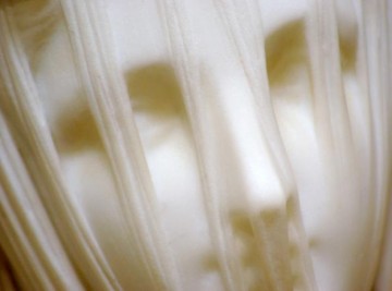 Живой камень