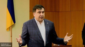 Саакашвили: Я видел «налоговых белок» собственными глазами