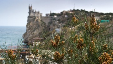 Ле Пен пообещала признать Крым российским, если станет президентом Франции