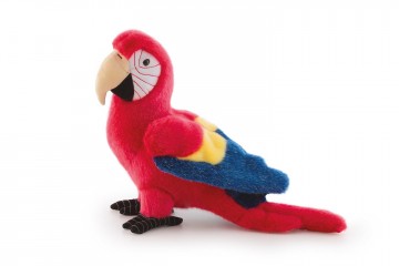 Злой попугай (истории)