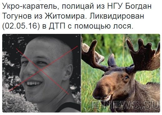 Потерь НЕТ - терять некого! Потери укрофашистов с 1 по 31 мая (Фото)