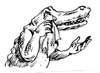 Птичку жалко... людоедам. Сергей Веселовский