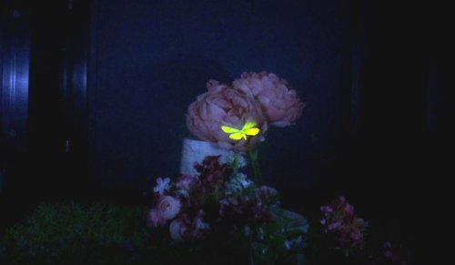 Новая подборка новостей мира науки и техники 06-05-2016