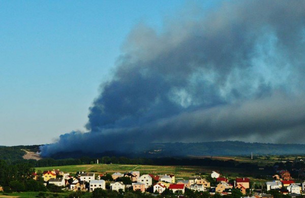 Путин, что ты творишь? Остановись!