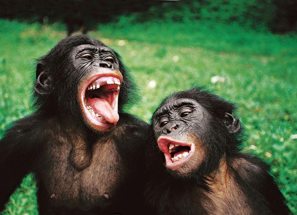 Анекдот Анекдот