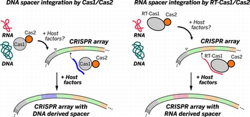 Новая подборка новостей мира науки и техники 14-06-2016 Новая подборка новостей мира науки и техники 14-06-2016