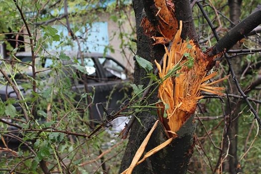 Сводка от МО ДНР 18 июня 2016 года. ВСУ зачистили своих же: убито 18 боевиков, 25 ранено Сводка от МО ДНР 18 июня 2016 года. ВСУ зачистили своих же: убито 18 боевиков, 25 ранено