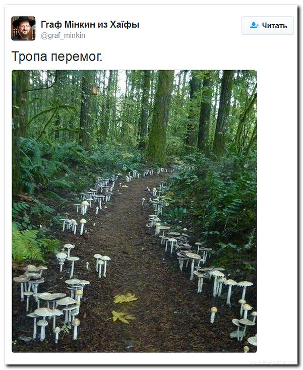 "Мыздобулы" в картинках. Смешных и не очень... 20-06-2016