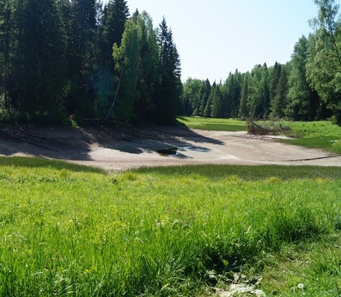 В Пермском крае загадочным образом исчезло целое озеро вместе с рыбой В Пермском крае загадочным образом исчезло целое озеро вместе с рыбой
