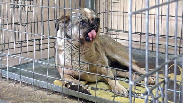 Сводка от МО ДНР 21 июня 2016 года. Укрофашисты за сутки 440 раз обстреляли прифронтовые территории ДНР