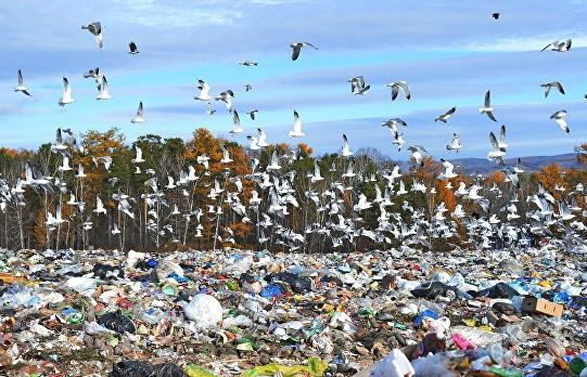 Киевляне потребовали запретить возить львовский мусор в Киев Киевляне потребовали запретить возить львовский мусор в Киев