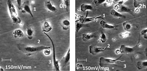 Новая подборка новостей мира науки и техники 22-06-2016