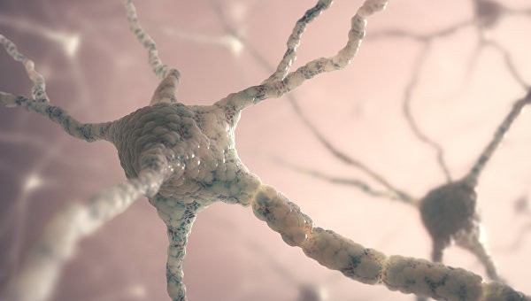 Российские медики создали препарат для лечения рассеянного склероза Российские медики создали препарат для лечения рассеянного склероза