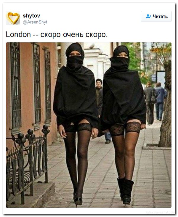 "Мыздобулы" в картинках. Смешных и не очень... 22-06-2016