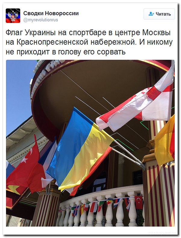 "Мыздобулы" в картинках. Смешных и не очень... 22-06-2016