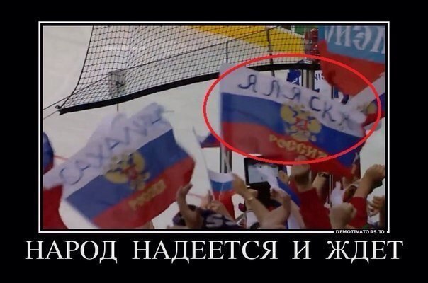 "Мыздобулы" в картинках. Смешных и не очень... 22-06-2016