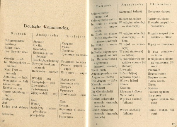 Новый пласт в истории так называемой Украины. 