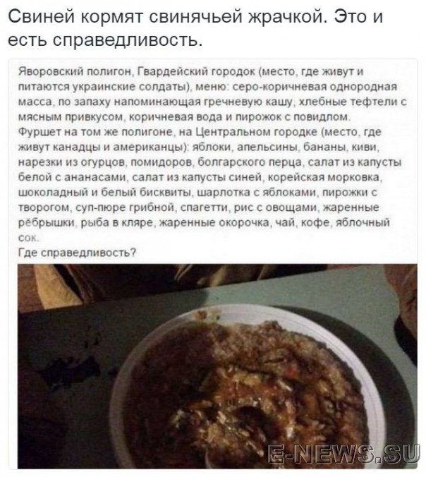 Потерь НЕТ - терять некого! Потери укрофашистов с 1 по 31 мая (Фото)