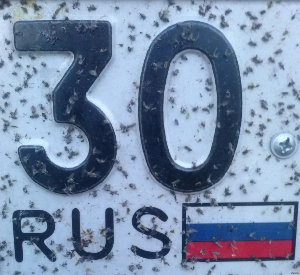 Представители НАТО интересуются Астраханью Представители НАТО интересуются Астраханью