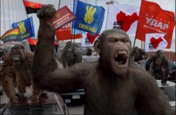 Прайд свидомитов