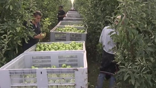 Совет итальянской Ломбардии проголосует 5 июля по резолюции по Крыму и санкциям против РФ