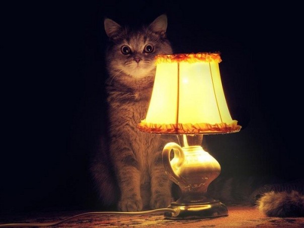 Киевские инвалиды захватили здание министерства социальной политики