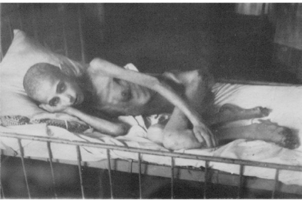 Маннергейм. Ленинград. Память о павших и иуды Маннергейм. Ленинград. Память о павших и иуды