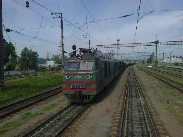 Говорят и пишут из Киева