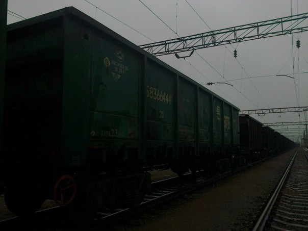 Говорят и пишут из Киева