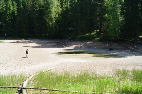В Пермском крае загадочным образом исчезло целое озеро вместе с рыбой В Пермском крае загадочным образом исчезло целое озеро вместе с рыбой