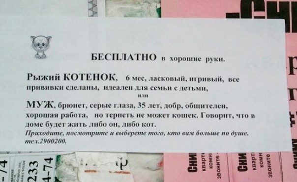 Гении объявлений среди нас Гении объявлений среди нас