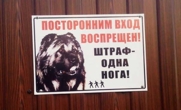 Гении объявлений среди нас Гении объявлений среди нас