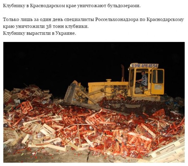 "Мыздобулы" в картинках. Смешных и не очень... 22-06-2016